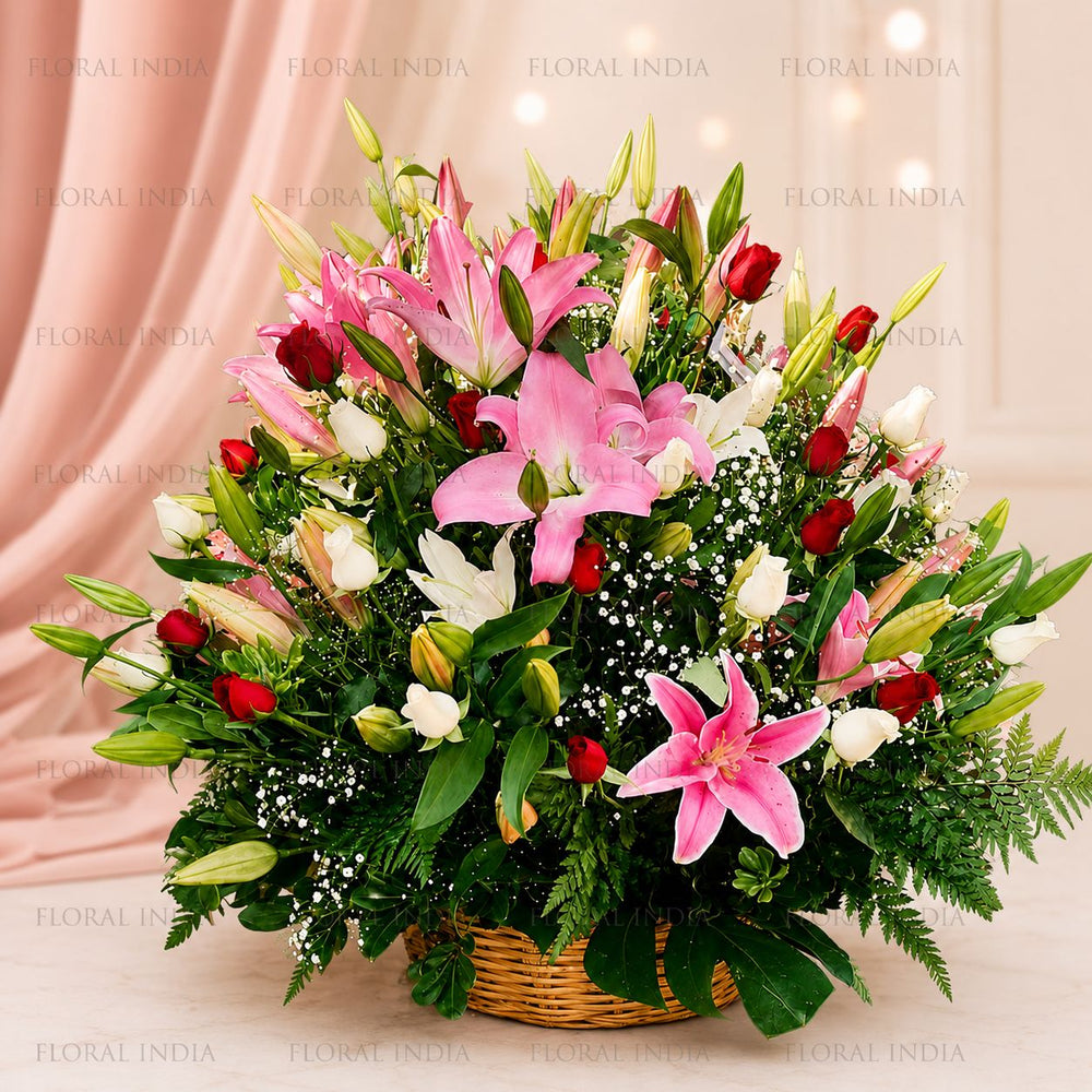 Forever Lily Splendour