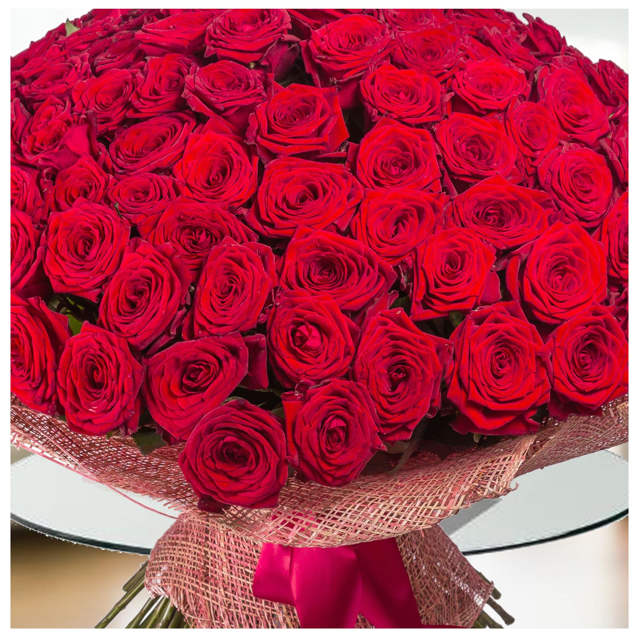 The Gorgeous Dome Of Red Roses