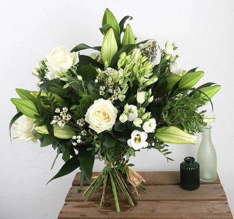 White Pearl Bloom
