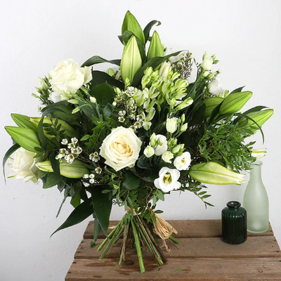White Pearl Bloom