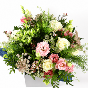 Standard Size