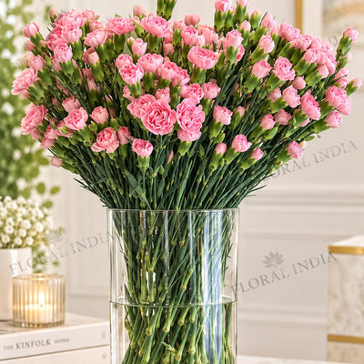 Pink Carnation Bloom Vase