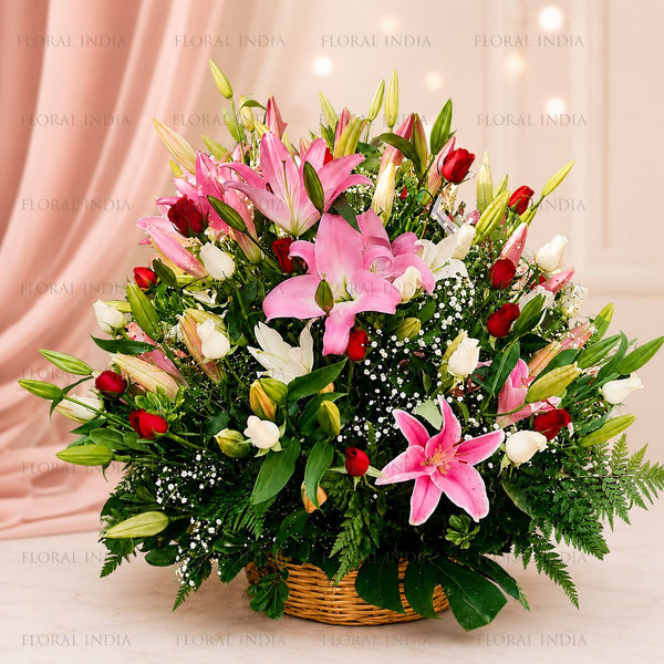 Forever Lily Splendour