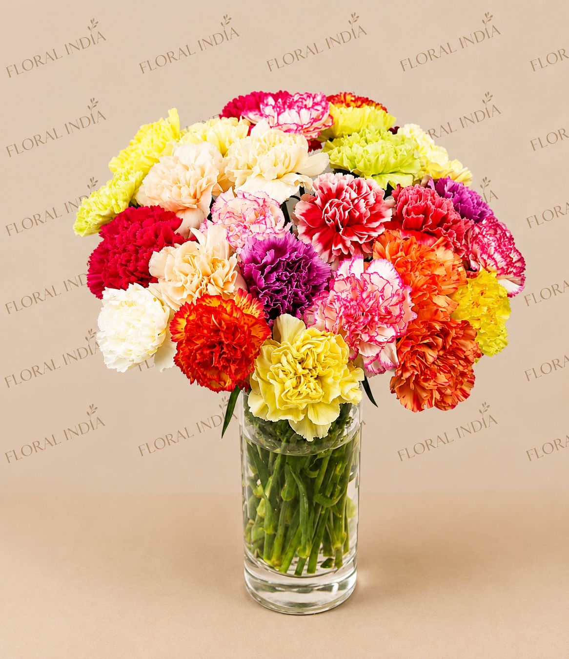 Rainbow Carnation Delight Vase Arrangement