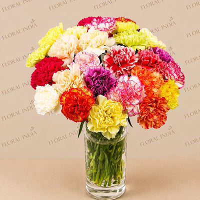Rainbow Carnation Delight Vase Arrangement