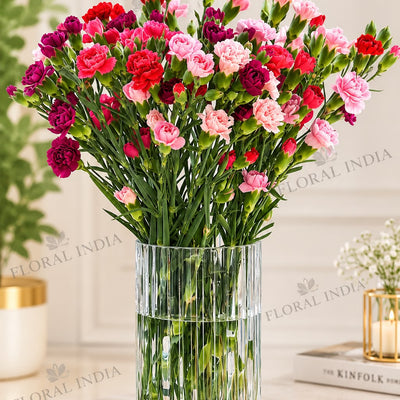 Elegant Mixed Carnation Flower Arrangement in Glass Vase