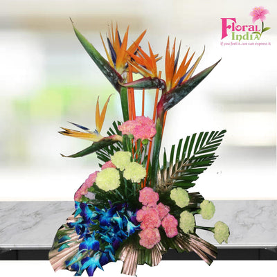 The Medley of Flowers
