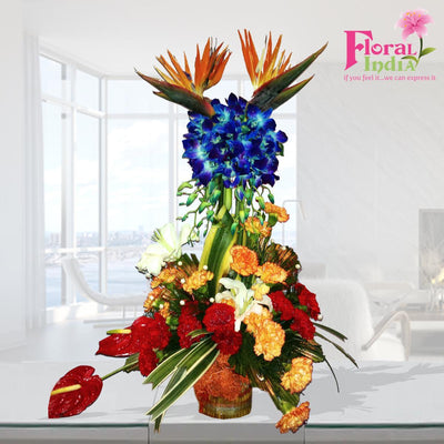 A Selection Of Orchids, Birds Of Paradise, Carnations, Antheriums & Lilies