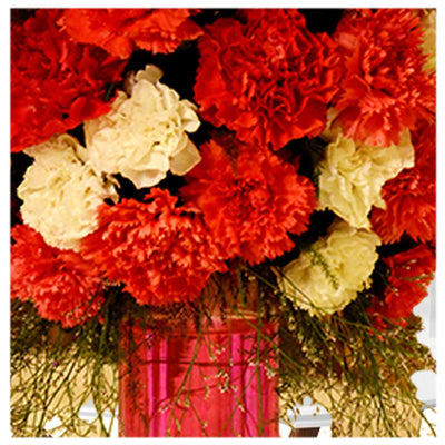 A Bush Of Lush Carnations Bouquet