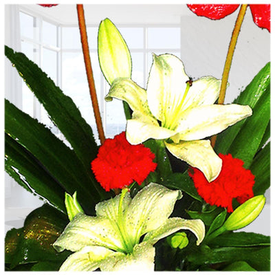 The Oriental Lilies, Antherium & Carnation Bouquet