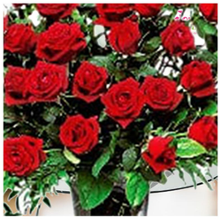 Flower_Collection_16