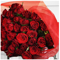 Flower_Collection_21