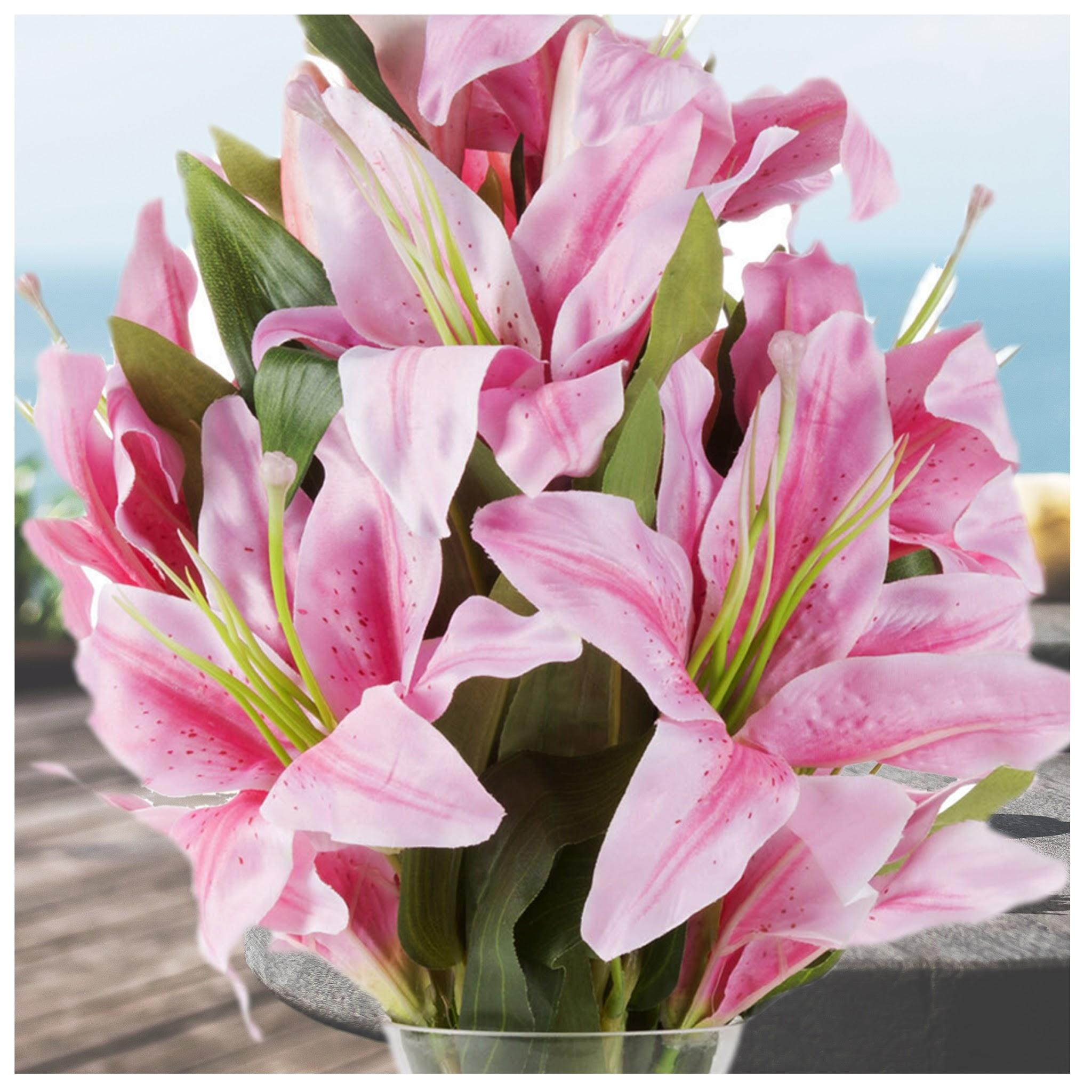 Flower_Collection_31