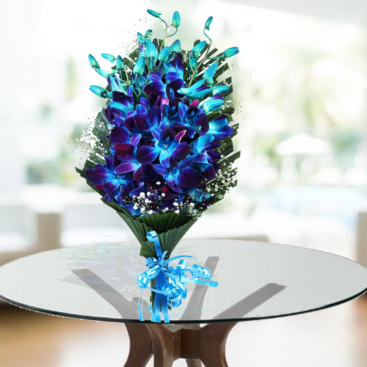 None Like A Classic Orchid!