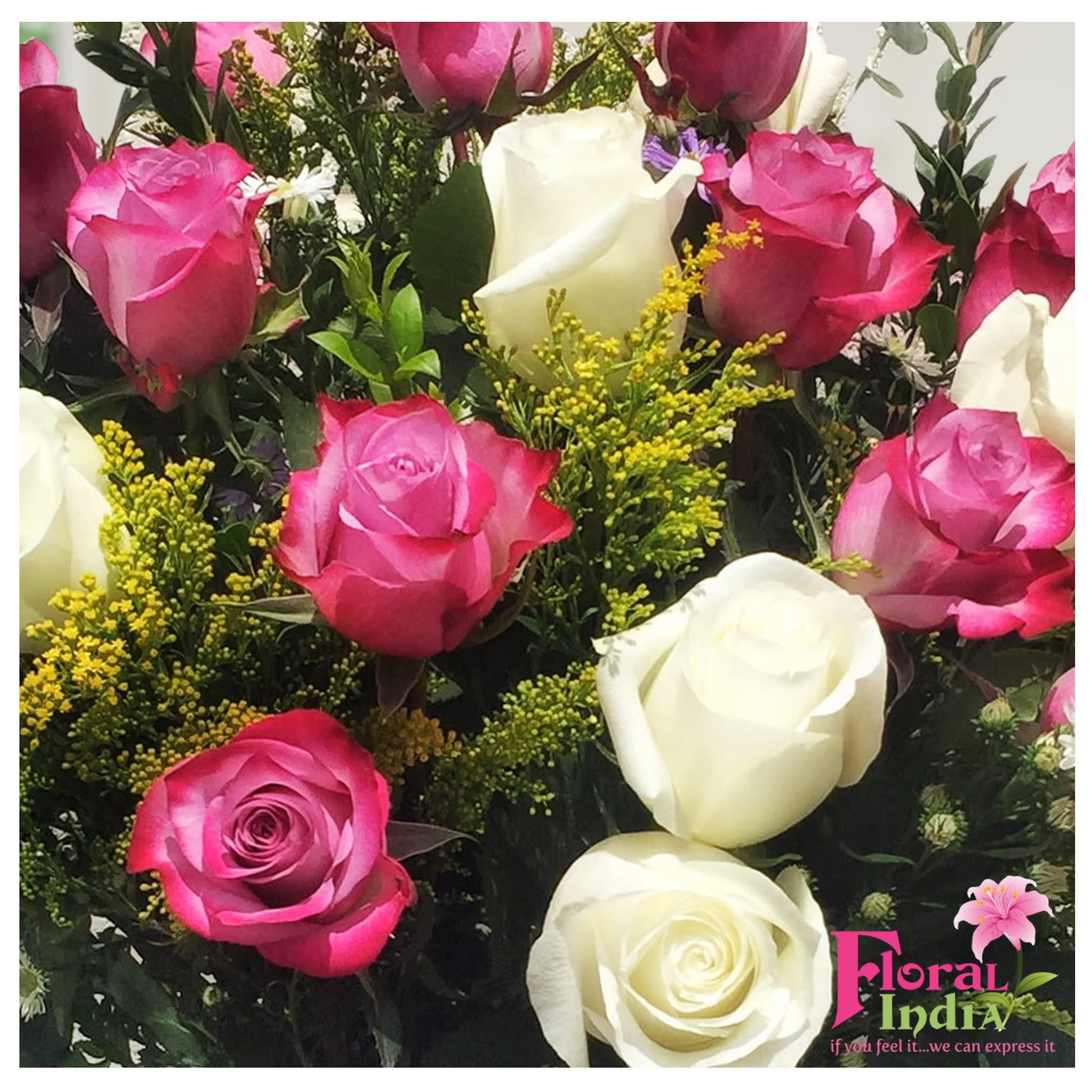A Bouquet of Pink & White Roses Curated Specially For You