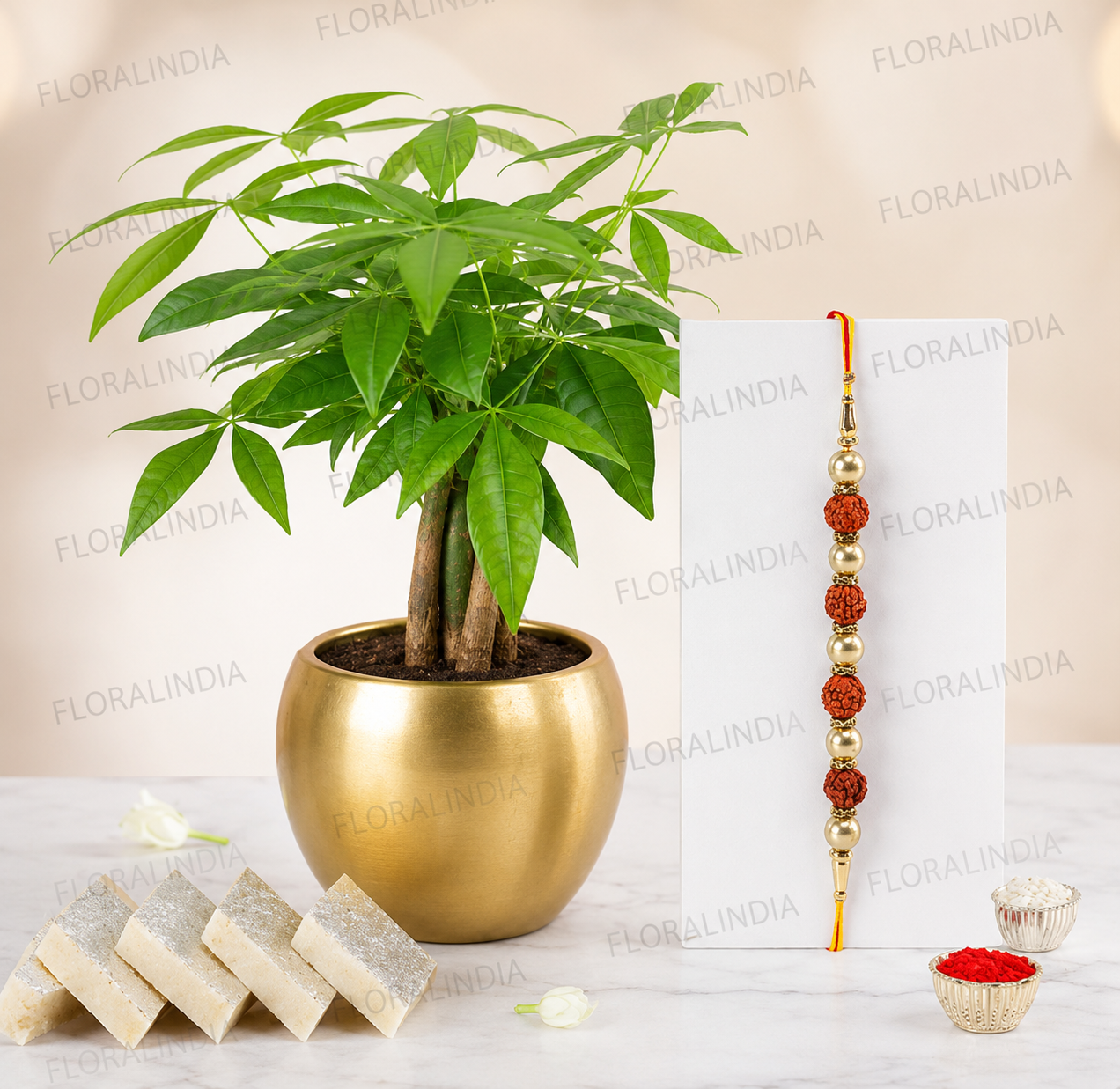 Rakhi Bliss with Plant & Sweets