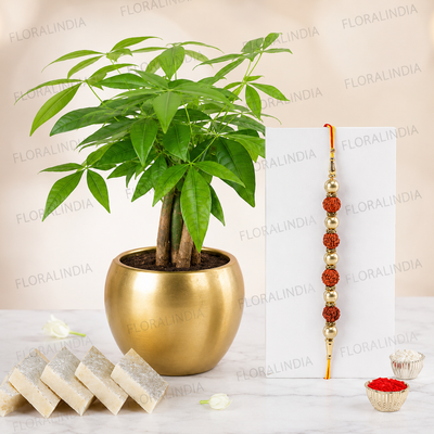 Rakhi Bliss with Plant & Sweets