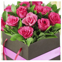 The Blush Pink Roses Bouquet
