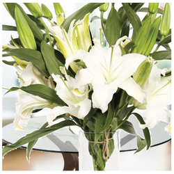 The Pure White Lilies Bouquet
