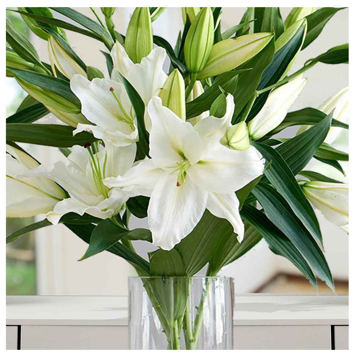 The Serene White Lilies Bouquet